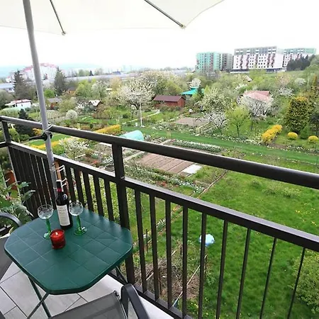 Large And Modern With Free Parking Spot Apartment